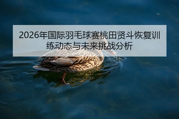 2026年国际羽毛球赛桃田贤斗恢复训练动态与未来挑战分析