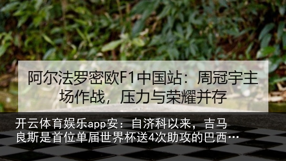 开云体育娱乐app安：自济相关情况首位相关情况攻的巴西球员