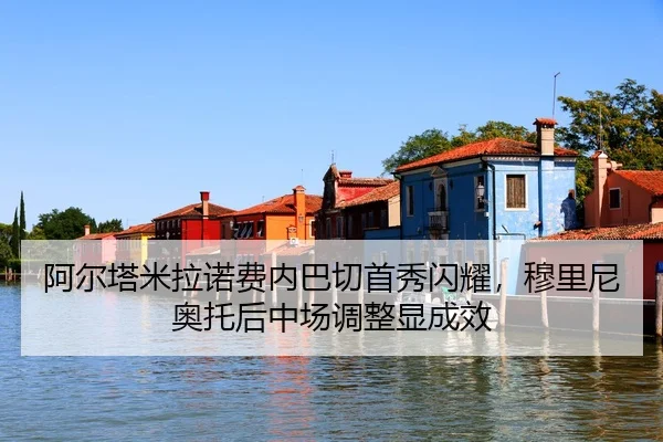 a-er-ta-mi-la-nuo-fei-nei-ba-qie-shou-xiu-shan-yao-mu-li-ni-ao-tuo-hou-zhong-chang-tiao-zheng-xian-cheng-xiao-3-690.jpg