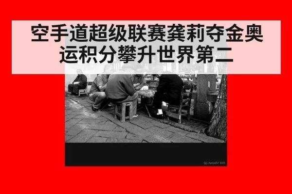 空手道超级联赛龚莉夺金奥运积分攀升世界第二